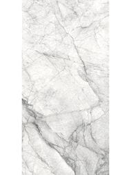 ��������������� ������ Delacora �������� (300x600) D30013M (��.�)