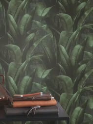 Обои виниловые на флизелине Rasch Back to Nature (0.53x10.05) листья, зеленые 416237 (рул.)