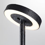 ����������� ���������� Odeon Light Nature Disc 7189/6GL, ������