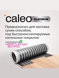 ������ ��� ��������� CALEO PLATINUM 4�2, 230��/�2, 0,5� � 8�, 920��, � ������ ��������������
