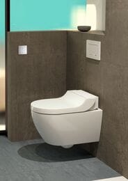 ������-���� GEBERIT AquaClean TumaComfort ���������, ������ ����� ������ 146.294.SI.1