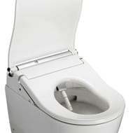 ������ ��������� TOTO RP � ��������-���� Washlet RW � ������� �/� (391x579x518) CW542EY+TCF801CG#NW1