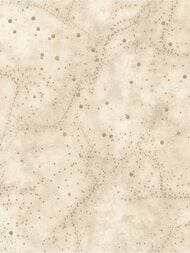 ���� ��������� �� ��������� Solo Orion (1,06�10,00) �������, ���������� A3207-4 (���.)