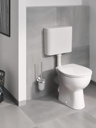 ��������� ����� Grohe BauCosmopolitan 40463001 � ��������� �� �������, ����