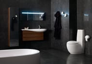 ����� ��� ���������� Laufen ILBAGNOALESSI ONE 4.2450.0.097.630.1 (995�385�320) ���������, 2 �����, ����