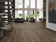 ��������������� ������ Baldocer Liverpool Teak Rect (200�1200) ���������� (��.�.)
