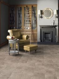 ������� �������-���������� SPC Tarkett BASS HOUSE BRANDON (300�580�4) 33��, ������, ���������� 257057000 (��.�.)