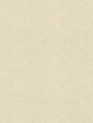 ���� ��������� �� ��������� Rasch Gentle Elegance (1,06x10,05) ���������, ������� 959666 (���.)