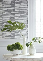 ���� �������� Thibaut Tropics (0,69�8,22) ����� T10119 (�����)