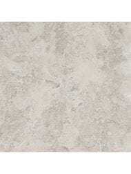 ��������������� ������ Porcelanite Dos Rapolano 1867 Grey (1000x1000) ��� ������ (��.�.)