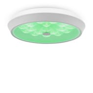 ���������� ���������� Freya Cells (����) FR10012CL-L24W, 80 Ra, 220/240 V, IP20,�����