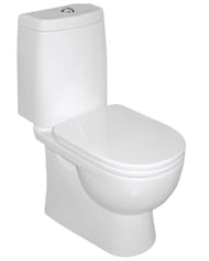 ������ ������� Sanita Luxe FEST Comfort (344x618x800) ������� �� ����������, ��������� WC.CC/Fest/2-DM/WHT.G/S1