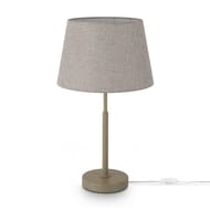 ���������� ���������� Freya Butler (������) FR2057TL-01BG, 220/240 V, IP 20, �������