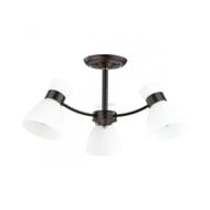 ������ �� ������ Lumion Wilma 4534/3C, ������