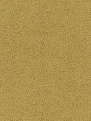 ���� ��������� �� ��������� ROBERTO CAVALLI Home 8 (1,06�10,05) �������, ������� 19017 (���.)