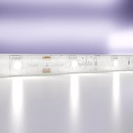 ������������ ����� Maytoni Led Strip 24� 5050 7,2��/� 6000K 5� IP65, �����, 10165