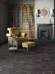 ������� �������-���������� SPC Tarkett BASS HOUSE GENE (300�580�4) 33��, ������, ������ 257057003 (��.�.)