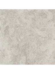 ��������������� ������ Porcelanite Dos Rapolano 1867 Grey (1000x1000) ��� ������ (��.�.)