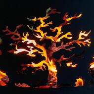 ��������� ���� Fire-House "�������" d800, �� ��������� ������, Ch-800�������