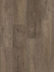 ������� �������-���������� SPC Tarkett Future House Willy (200,8�1220) 23/33 ��, ���������� (��.�.)