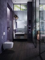 ������-���� GEBERIT AquaClean Sela ���������, ������ �����   146.224.11.1