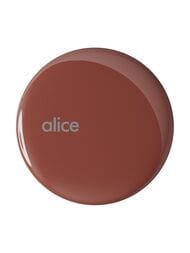 ������ ������ ��� ������� Alice ������������, ���������������, ������� �����.  PIL00697