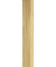 ��������������� ������ CERRAD Pergusa Beige (193�1202�7) ������� (��.�.)