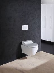 ������-���� GEBERIT AquaClean TumaComfort ���������, ������ ����� ������ 146.294.SI.1