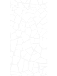 ������ ��������� AltaCera ������� (249x500) WT9SML00 (��.�)