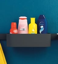������� �������� Hansgrohe WallStoris 27912670 250�71�100�� ����: ������� ������