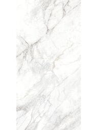 ��������������� ������ Delacora ������ (600x1200) D120242M (��.�)