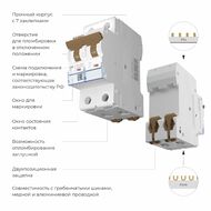 Автоматический выключатель 2P 25 A C 6 кА Werkel W902P256