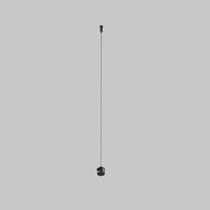 �������� ������ ��� ����������� Maytoni Elasity (�������) TRA160SW-2B, ������