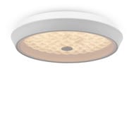 ���������� ���������� Freya Cells (����) FR10012CL-L24W, 80 Ra, 220/240 V, IP20,�����