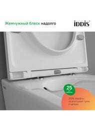 ����������� � ��������� �������� IDDIS Basic ������� � �����������, ������� ����� BASC020i73