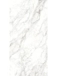 ��������������� ������ Delacora ������ (600x1200) D120242M (��.�)