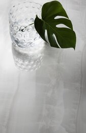 ��������������� ������ Sant Agostino Akoya White nat. (600�1200) �����, ����� (��.�.)