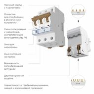 Автоматический выключатель 3P 50 A C 6 kА Werkel W903P506