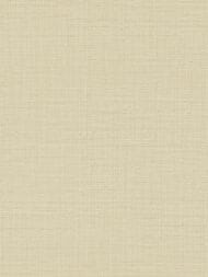 Обои виниловые на флизелине Zambaiti Trussardi VII (0,70х10,05) моноколор, бежевые 18944 (рул)
