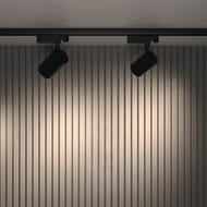 �������� ���������� Maytoni Vuoro (�����) TR029-3-30W3K-B Trinity   3000K  26��, IP20, ������