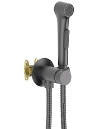 Набор с гигиеническим душем Aquatek Европа AQ1020BGM встраиваемый, 1 отв., однозахв., сталь оруж — миниатюра 2