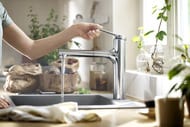 ��������� Hansgrohe Zesis M33 2jet ��� ����� 160�� � �������� �����, sBox lite, ���� 74804000