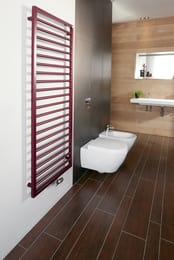 Полотенцесушитель стальной Zehnder Subway SUB-130-060 (1261х600) водяной, цвет: категория 2