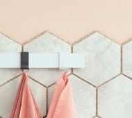 ������ ������� Hansgrohe WallStoris 27914700 2��. ����: ������� �����