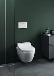 ������-���� GEBERIT AquaClean TumaComfort ���������, ������ ����� ������ 146.294.SI.1