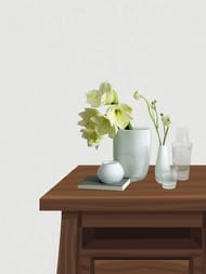 ���� ��������� �� ��������� Erismann Gentle ER12207-01  (1,06�10,05) ����� (���.)