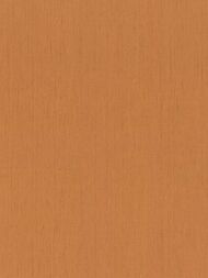 ���� ��������� �� ��������� Rasch Indian Style (0,53�10,05) �����, ��������� 746099 (���.)