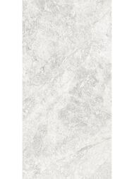 ��������������� ������ Delacora ������ (300x600) D30010M (��.�)