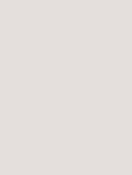 Интерьерная краска HYGGE Shimmering sea Marble White (20%) 2,7л, HG01-039 (шт.)