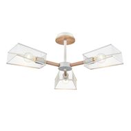 ������ �� ������ Lumion County Irma 8246/3C, �����